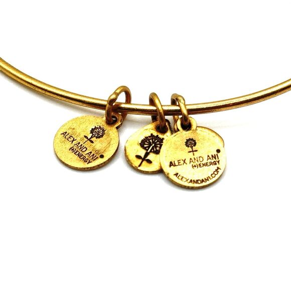 ALEX AND ANI Adjustable Copper Cape Cod Charm Bracelet in Rafaelian Gold - Picture 2 of 4